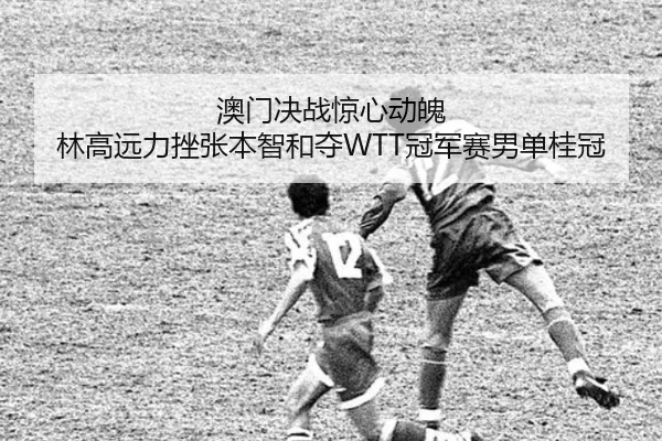 ao-men-jue-zhan-jing-xin-dong-po-lin-gao-yuan-li-cuo-zhang-ben-zhi-he-duo-guan-jun-sai-nan-dan-gui-guan-2-447.jpg